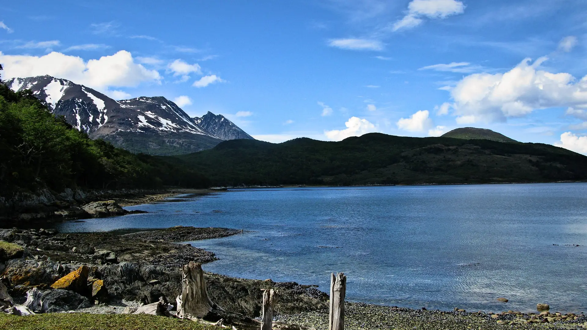 La costa del Parque Nacional Tierra del Fuego: una bahía en calma, playa de piedras con troncos secos, bosque y cerros nevados