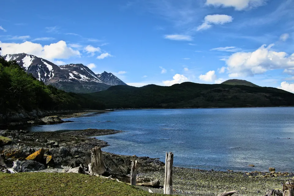 La costa del Parque Nacional Tierra del Fuego: una bahía en calma, playa de piedras con troncos secos, bosque y cerros nevados