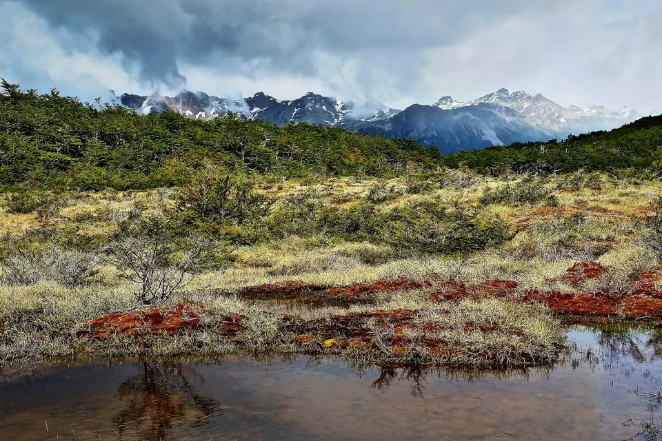 Turbal con musgo rojo y un espejo de agua en el camino a la Laguna Esmeralda, con bosque y montañas nevadas